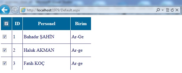 Resim4