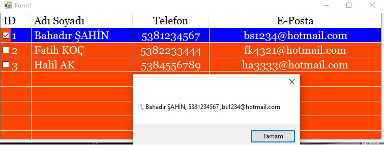 Resim1